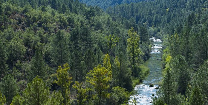 Cartier for Nature es una iniciativa filantrópica creada por la propia marca para apoyar la conservación y restauración de los ecosistemas naturales y la biodiversidad, cuya misión es ayudar a conservar y restaurar la biodiversidad y los ecosistemas sanos en beneficio de la naturaleza y de las personas. Cartier for Nature es una iniciativa filantrópica creada por la propia marca para apoyar la conservación y restauración de los ecosistemas naturales y la biodiversidad, cuya misión es ayudar a conservar y restaurar la biodiversidad y los ecosistemas sanos en beneficio de la naturaleza y de las personas.