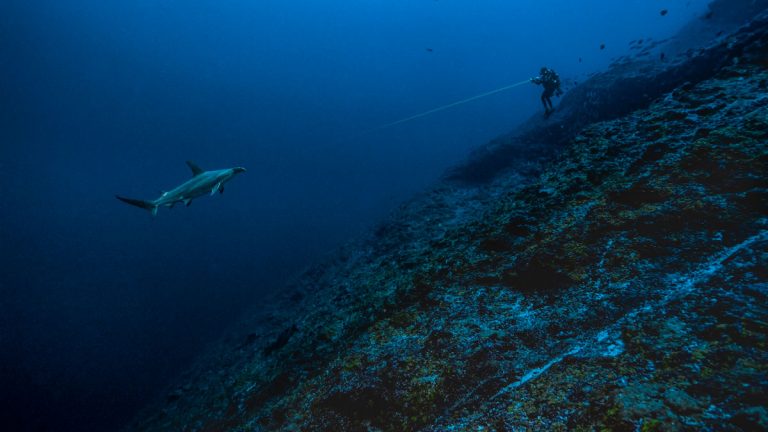 Blancpain Ocean Commitment, activamente involucrado en la protección de los océanos desde hace 20 años