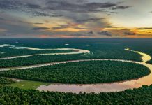 Rolex anuncia a las laureadas de los Premios Rolex 2026 Rolex anuncia a las laureadas de los Premios Rolex 2026, celebrando su legado centenario y su compromiso con la innovación, la sostenibilidad y un Planeta Perpetuo.