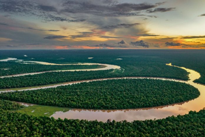 mail Rolex anuncia a las laureadas de los Premios Rolex 2026, celebrando su legado centenario y su compromiso con la innovación, la sostenibilidad y un Planeta Perpetuo.